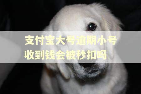 支付宝大号逾期小号收到钱会被秒扣吗