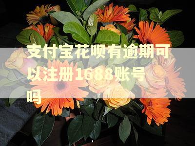 支付宝花呗有逾期可以注册1688账号吗