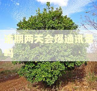 逾期两天会爆通讯录吗