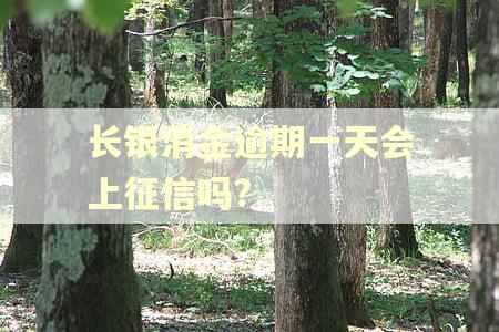 长银消金逾期一天会上征信吗?