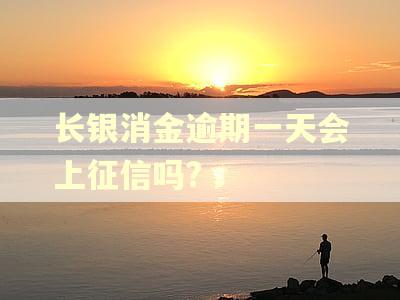 长银消金逾期一天会上征信吗?