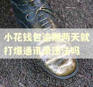 小花钱包逾期两天就打爆通讯录违法吗