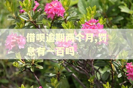 借呗逾期两个月,罚息有一百吗