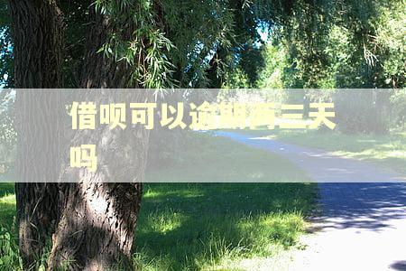 借呗可以逾期两三天吗