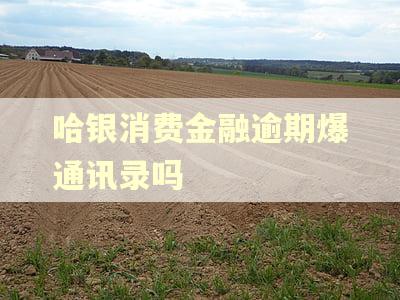 哈银消费金融逾期爆通讯录吗