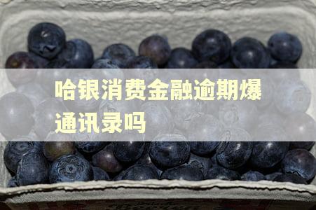 哈银消费金融逾期爆通讯录吗