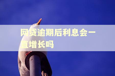 网贷逾期后利息会一直增长吗 网贷逾期后利息会一直增长吗