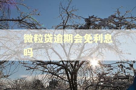 微粒贷逾期会免利息吗