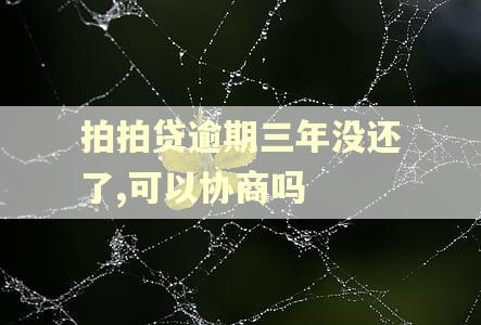 拍拍贷逾期三年没还了,可以协商吗