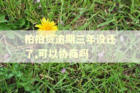 拍拍贷逾期三年没还了,可以协商吗