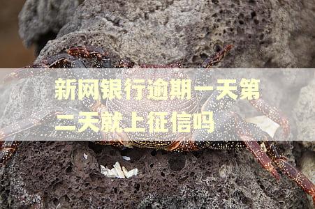 新网银行逾期一天第二天就上征信吗 新网银行逾期一天第二天就上征信吗