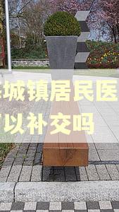 上海城镇居民医保逾期可以补交吗