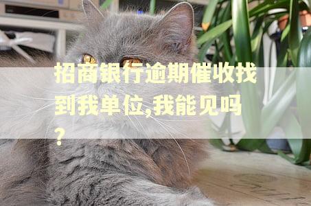 招商银行逾期催收找到我单位,我能见吗?