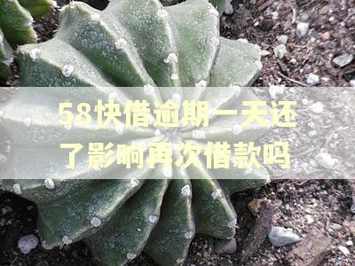 58快借逾期一天还了影响再次借款吗