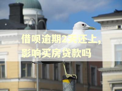 借呗逾期2天还上,影响买房贷款吗