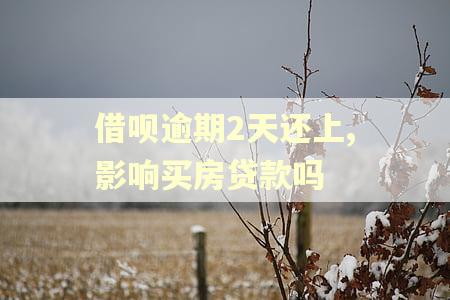 借呗逾期2天还上,影响买房贷款吗 借呗逾期2天还上,影响买房贷款吗