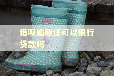 借呗逾期还可以银行贷款吗