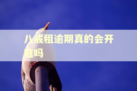 八戒租逾期真的会开庭吗