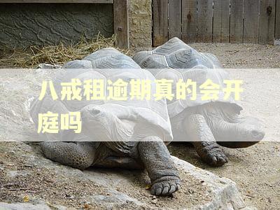 八戒租逾期真的会开庭吗