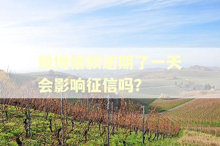 微博借款逾期了一天会影响征信吗？