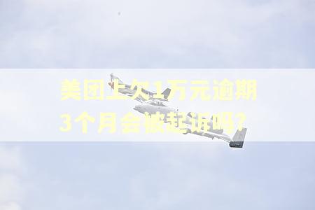 美团上欠1万元逾期3个月会被起诉吗?