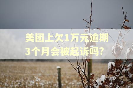 美团上欠1万元逾期3个月会被起诉吗? 美团上欠1万元逾期3个月会被起诉吗?