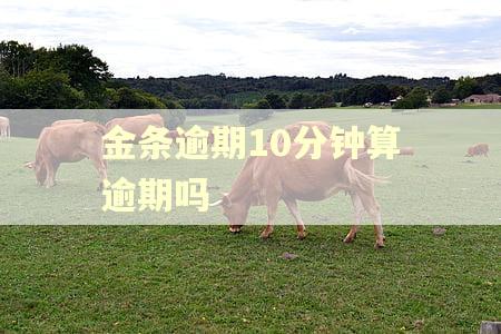 金条逾期10分钟算逾期吗 金条逾期10分钟算逾期吗