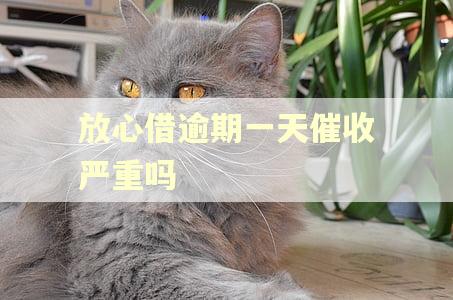 放心借逾期一天催收严重吗