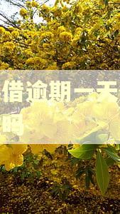 放心借逾期一天催收严重吗 放心借逾期一天催收严重吗
