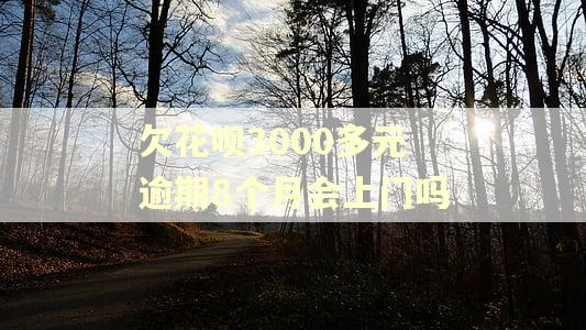 欠花呗3000多元逾期8个月会上门吗