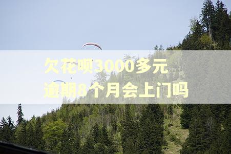 欠花呗3000多元逾期8个月会上门吗