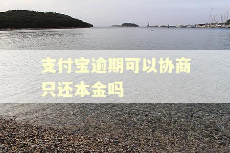 支付宝逾期可以协商只还本金吗