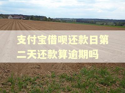 支付宝借呗还款日第二天还款算逾期吗