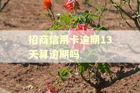 招商信用卡逾期13天算逾期吗 招商信用卡逾期13天算逾期吗
