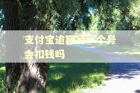 支付宝逾期另一个号会扣钱吗 支付宝逾期另一个号会扣钱吗