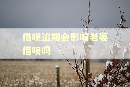 借呗逾期会影响老婆借呗吗