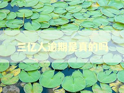 三亿人逾期是真的吗