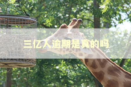 三亿人逾期是真的吗