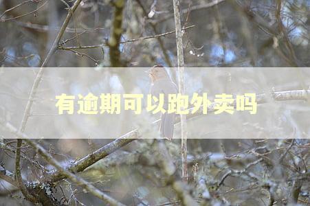 有逾期可以跑外卖吗