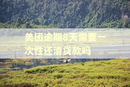 美团逾期8天需要一次性还清贷款吗