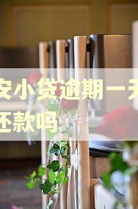 众安小贷逾期一天还能还款吗