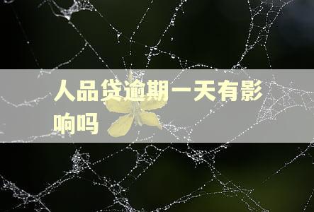 人品贷逾期一天有影响吗