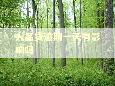 人品贷逾期一天有影响吗