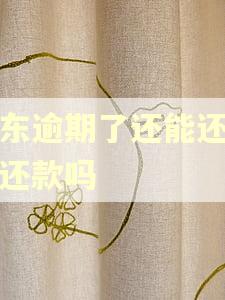 京东逾期了还能还最低还款吗