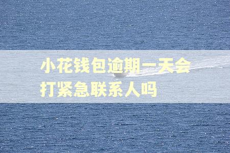 小花钱包逾期一天会打紧急联系人吗