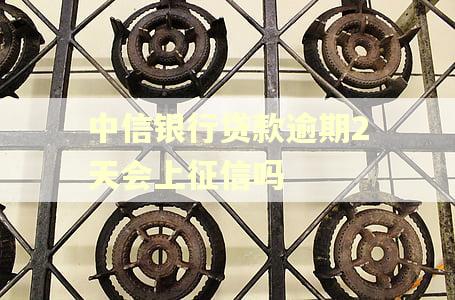 中信银行贷款逾期2天会上征信吗