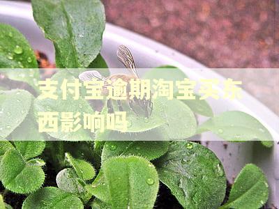 支付宝逾期淘宝买东西影响吗