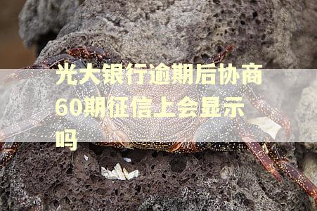 光大银行逾期后协商60期征信上会显示吗