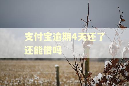 支付宝逾期4天还了还能借吗