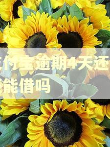 支付宝逾期4天还了还能借吗 支付宝逾期4天还了还能借吗